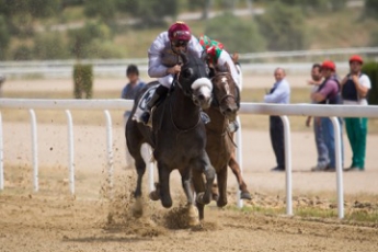 PREMIERE VICTOIRE POUR AL AFREET