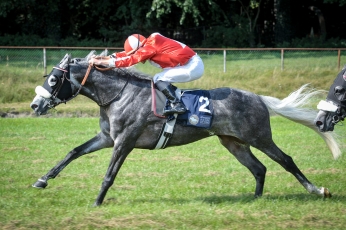 DJELAMER CONSERVE SON TITRE