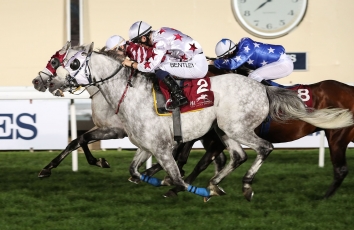 MAJEED QA REMPORTE LE QATAR PUREBRED ARABIAN TROPHY