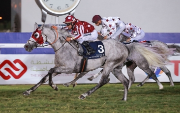 MAJEED QA REMPORTE LA DERNIERE COURSE DE LA SAISON 2016/2017