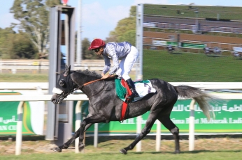 METRAG REMPORTE LA SHEIKH ZAYED CUP DE ROME