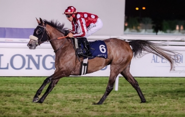 DOUBLE A DOHA POUR LES POULICHES DU HARAS DU GRAND COURGEON
