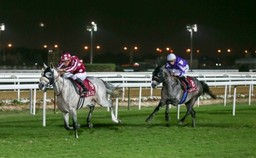 DOUBLE POUR LES POULAINS DU HARAS DU GRAND COURGEON