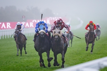 TAYF REMPORTE LA PREMIERE MANCHE DE LA DOHA TRIPLE CROWN