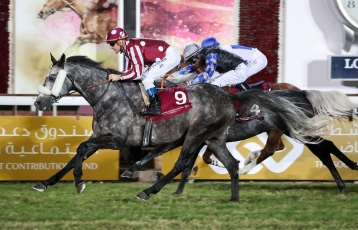 DOHA : UMM QARN TETE DE LISTE DES PROPRIETAIRES POUR LA...