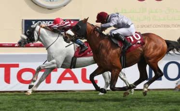 TM THUNDER STRUCK REMPORTE LA QATAR INTERNATIONAL CUP