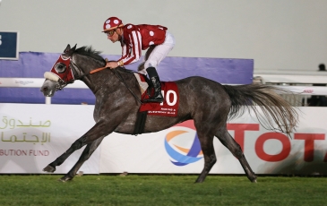 BELLE JOURNEE POUR LES PRODUITS DU HARAS DU GRAND COURGEON
