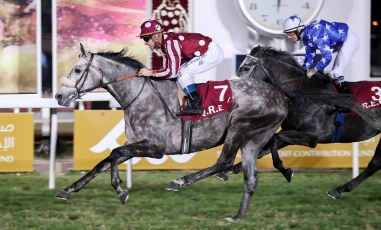 PREMIERE VICTOIRE DU PREMIER POULAIN D'AL DAHMA