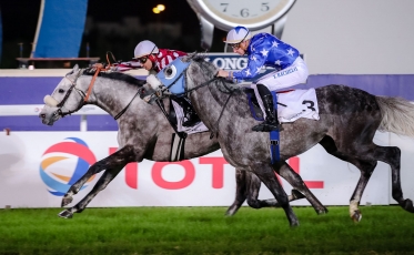 YAZEED REMPORTE LES PUREDBRED ARABIAN GUINEAS