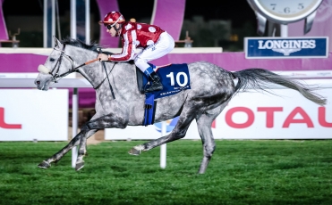 YAZEED REMPORTE LE PUREBRED ARABIAN SWORD TRIAL