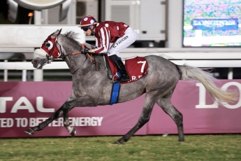 VICTOIRE POUR IBN IBN DJEL BON!