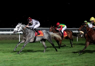 KHATAAB REMPORTE LE FRENCH ARABIAN BREEDERS CHALLENGE...