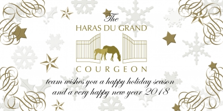 SEASON'S GREETINGS