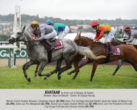 Khataab by Amer out of Djelmila (Al Sakbe)
Breeder: Alban de Mieulle - Owner: Al Shaqab Racing