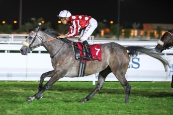 Umm Salal Oaks Trial, 1850 m - Doha, 14 novembre 2019