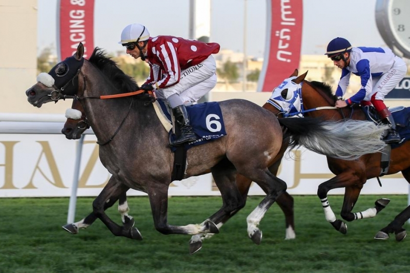 L/B Arabian Maiden Plate, 2200m - 28 March 2019
