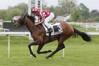 Prix Auberge de l'Etoile Riedisheim (Prix de la Bruche), 2350 m - Strasbourg, 8 May 2019