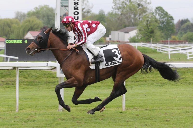 Prix Auberge de l'Etoile Riedisheim (Prix de la Bruche), 2350 m - Strasbourg, 8 May 2019