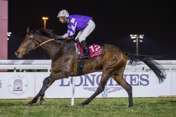 Umm Qarn Trophy, 2000m - Doha, Qatar, 7 January 2021
