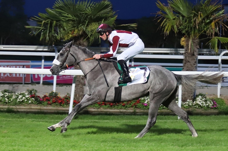 Prix Quitaine - Wathba Stallions Cup, 2000 m - Toulouse, 8 June 2019