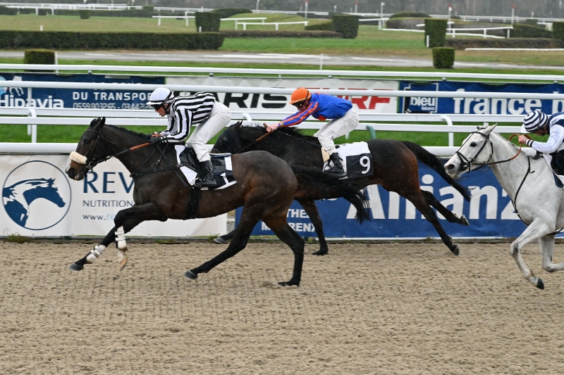 Prix de Lesclun, 2400m - Pau, France, 9 January 2023
©Robert Polin