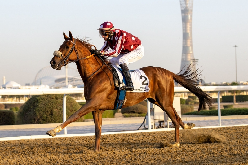 PA Maiden Plate (4yo), 1700m - 26 January 2022, Doha, Qatar
©Juhaim/QREC