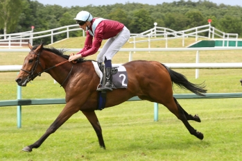 Prix des Tuileries, 2300 m - Durtal, France, 20 juin 2021
©Jean-Charles Briens