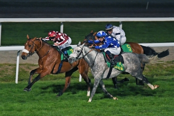 Prix Warda - Jean-François Bernard, 2100m - 7 March 2022, Toulouse, France
©Robert Polin