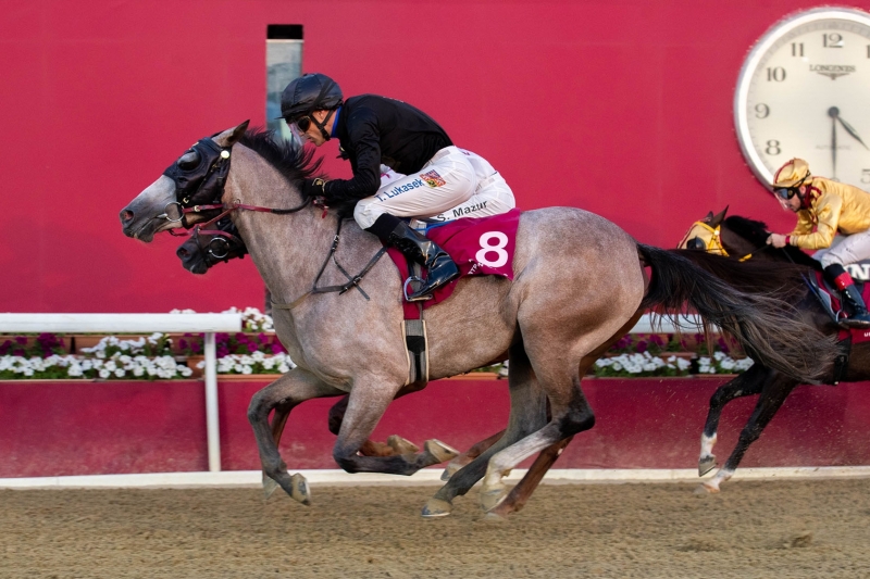 Purebred Arabian Maiden Plate (3 ans), 1700 m - 16 novembre 2022, Doha, Qatar
©Juhaim/QREC