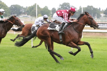 Prix des Espoirs, 1600 m - Nantes, France, 21 septembre 2021
©Jean-Charles Briens