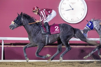 Purebred Arabian Handicap, 1900 m - 27 avril 2022, Doha, Qatar
©Juhaim/QREC