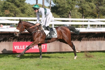 Prix Le Bois Régnier, 3700m hurdle race - 22 October 2022, Cholet, France
©Jean-Charles Briens