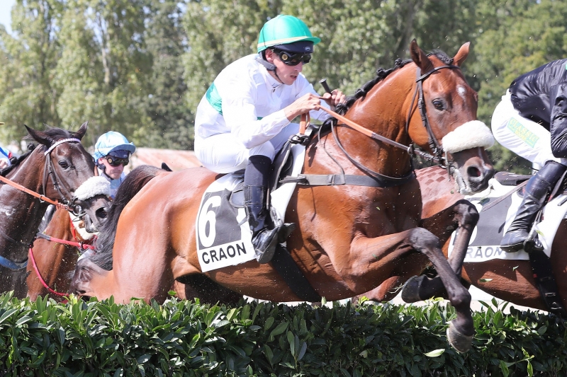 Prix Lesieur (Prix Courant d'Air), 4100m steeplechase - Craon, France, 4 September 2023
©Jean-Charle Briens