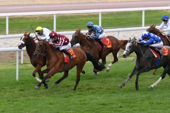 Prix Quitaine-Wathba Stallions Cup, 2000 m - Toulouse, France, 3 juin 2022
©Robert Polin