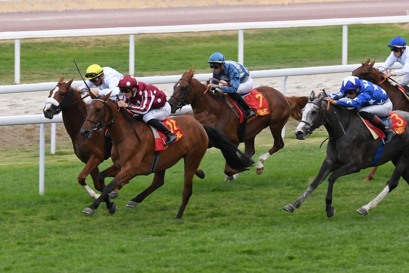 Prix Quitaine-Wathba Stallions Cup, 2000 m - Toulouse, France, 3 juin 2022
©Robert Polin