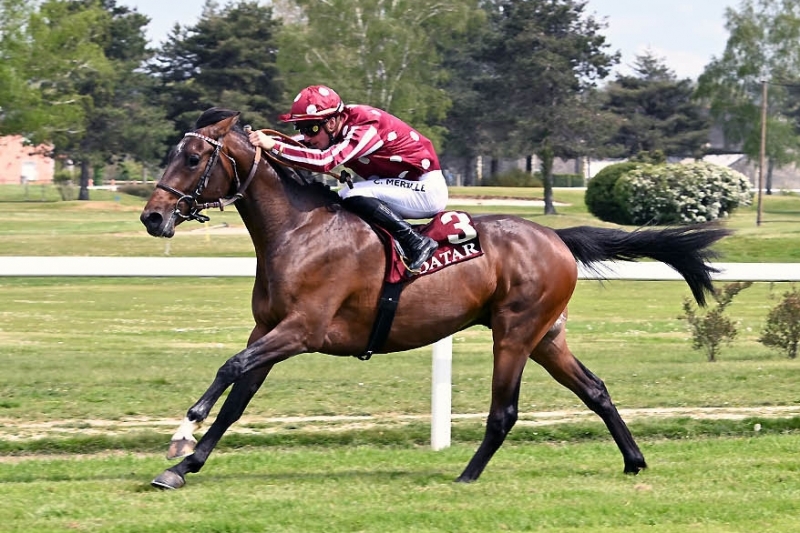 Prix Denouste, 1500 m - Tarbes, France, 20 avril 2023
©Robert Polin