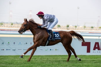 PA maiden plate, 1400m - Al Uqda, Qatar, 18 November 2023
©Juhaim/QREC