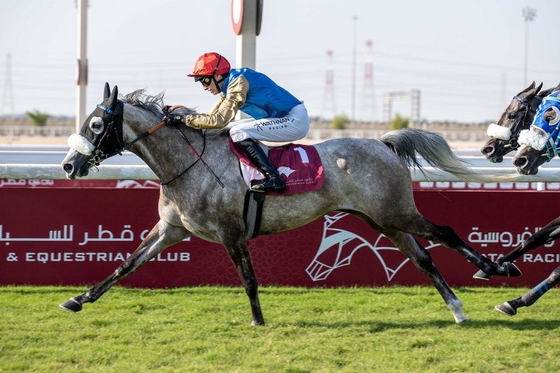Purebred Arabian Oaks Trial femelles femelles de 4 ans, 2100 m - Al Uqda, Qatar, 5 décembre 2024
©Juhaim/QREC
