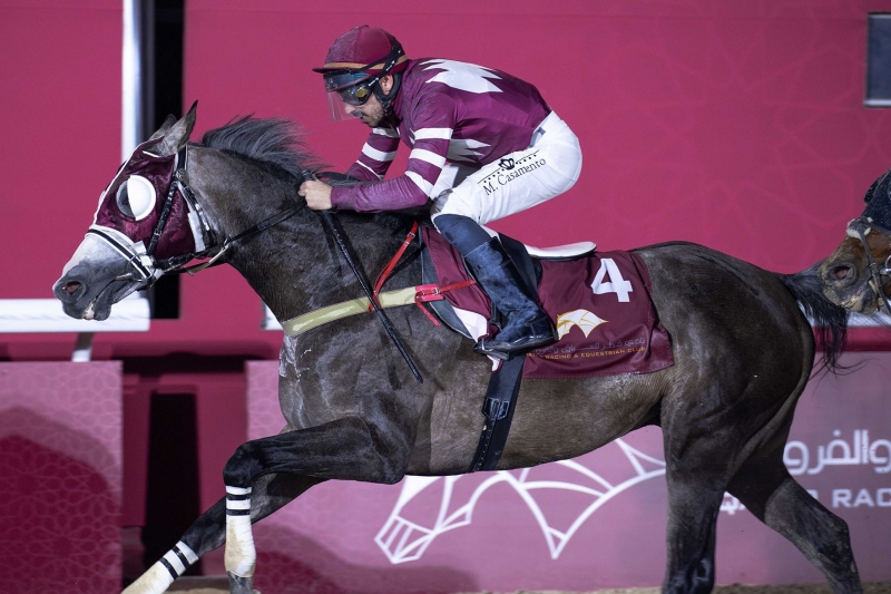 Purebred Arabian Maiden plate, 1200m - Doha, Qatar, 5 March 2025
©Juhaim/QREC