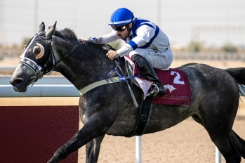 Purebred Arabian Handicap, 2100 m - Al Uqda, Qatar, 20 mars 2025
©Juhaim/QREC