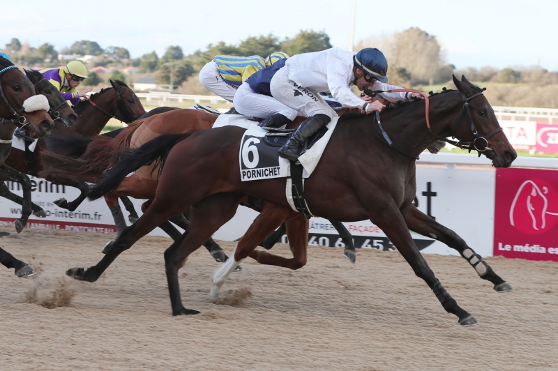 Prix Osarus (Prix Château de la Bretesche) - Pornichet, France, 2 March 2024
©Jean-Charles Briens