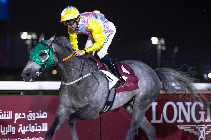 Purebred Arabian Novice Plate, 1700m - Doha, Qatar, 5 March 2025
©Juhaim/QREC