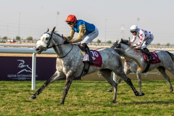 Local Purebred Arabian Oaks (4yo fillies), 2100m - Doha, Qatar, 26 December 2024
©Juhaim/QREC