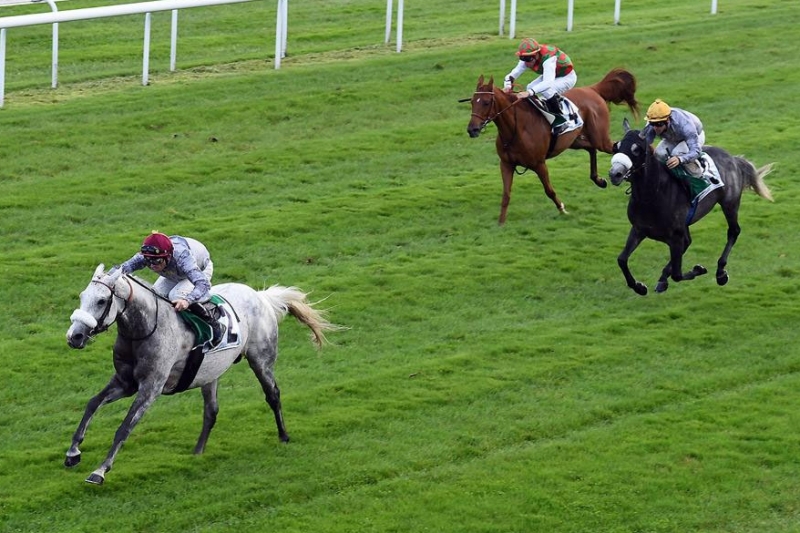 French Arabian Breeders' Challenge Classic (Gr.1PA), 1900m - Bordeaux Le Bouscat, 31 October 2019