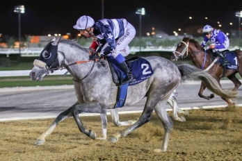 Purebred Arabian Handicap, 1900m - 20 March 2019