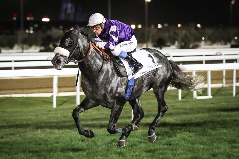 Purebred Arabian Handicap - Doha, 19 January 2019