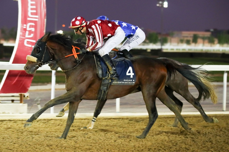 Purebred Arabian Novice Cup, 1900 m - Doha, 27 novembre 2019