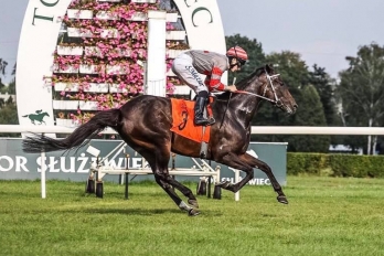 Al Khalediah Cup, 1600 m - Varsovie, 19 août 2018