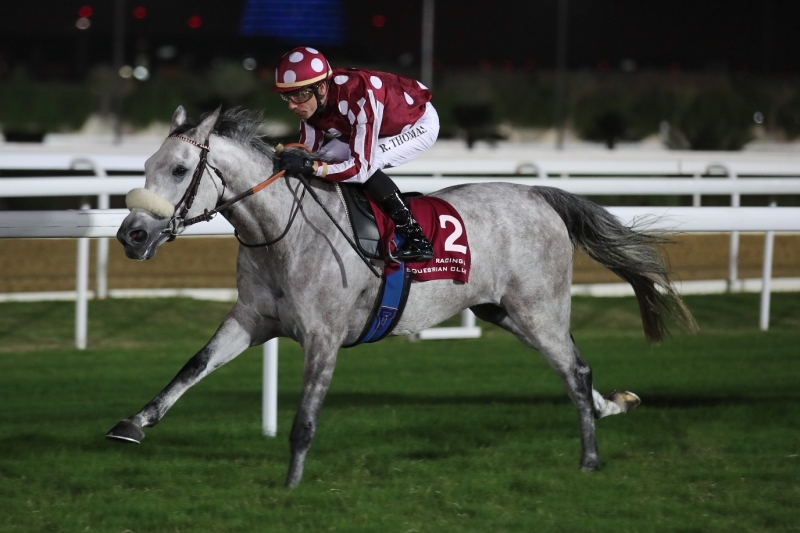 Umm Salal Oaks Trial (LB 4-y-o fillies), 15 November 2018