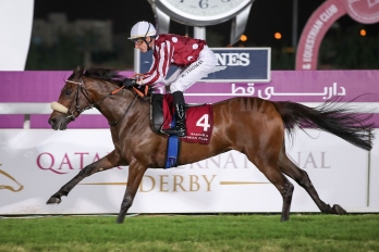 Qatar Oaks Fillies - Doha 21 December 2018